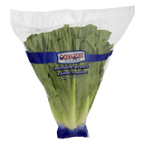 Romaine Lettuce
