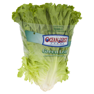Green Leaf