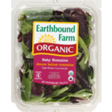 Organic Baby Romaine