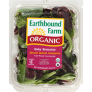 Organic Baby Romaine
