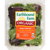 Organic Baby Lettuces
