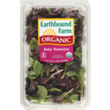 Organic Baby Romaine