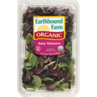 Organic Baby Romaine
