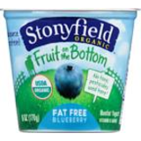 Nonfat Yogurt, Blueberry
