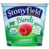 Raspberry Yogurt