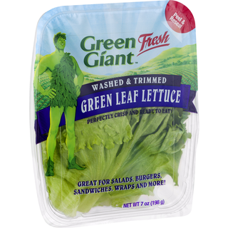 Green Leaf Lettuce