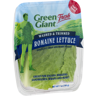 Romaine Lettuce