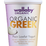 Lowfat Yogurt, Plain