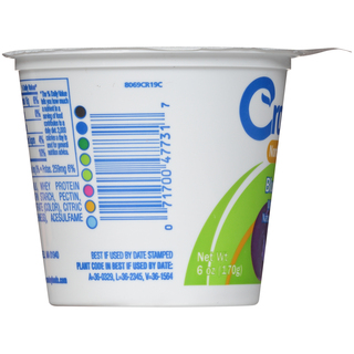 Crowley® Blueberry Nonfat Yogurt 6 Oz. Cup