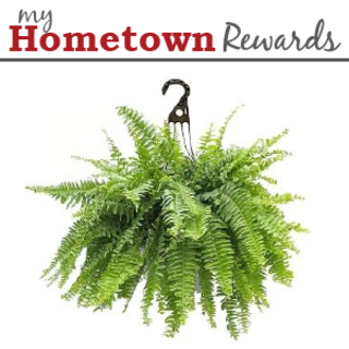 coupon product image 