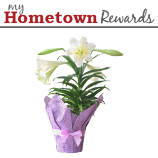 coupon product image 