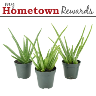 coupon product image 