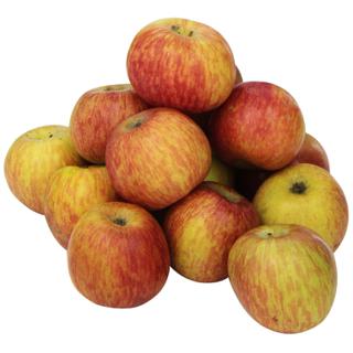 Fuji Apples