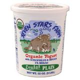 Original Plain Organic Yogurt