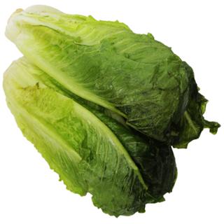 Romaine Lettuce