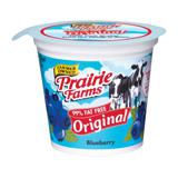 Low Fat Yogurt, Blueberry