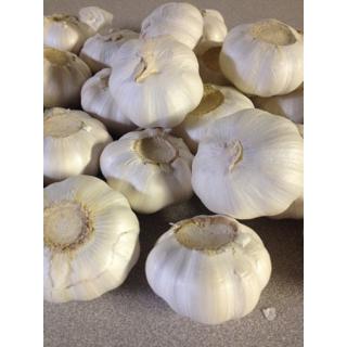 Crushed Garlic