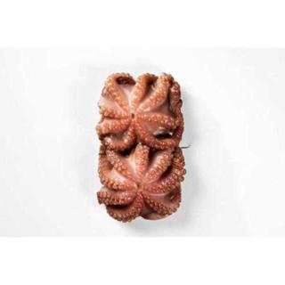 Cleaned Octopus