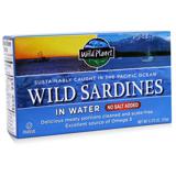 Wild Sardines