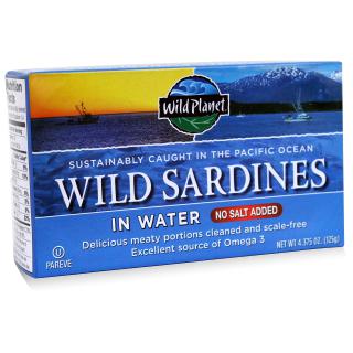 Wild Sardines